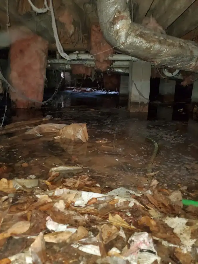 Crawl space flood assessment for Leak Detection & Repair in Myrtle Beach