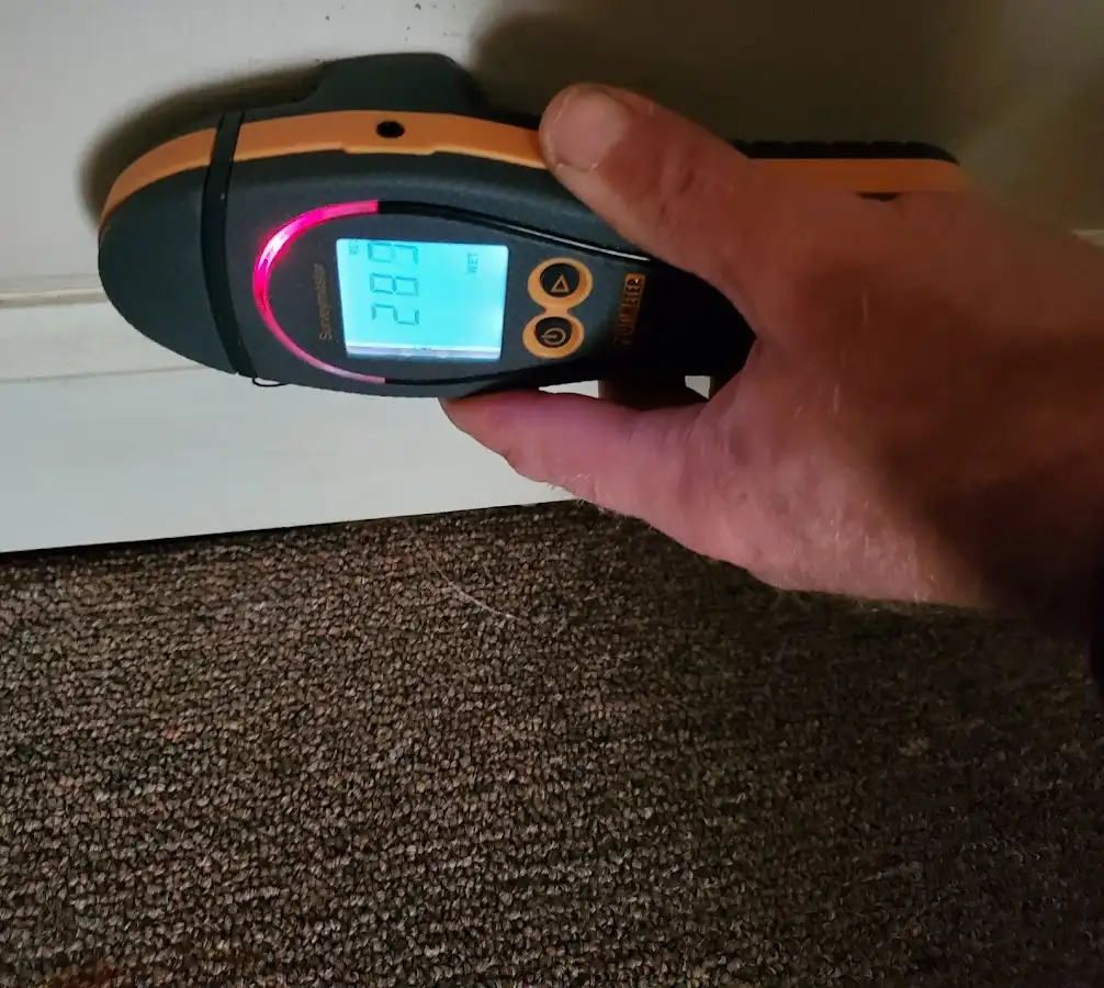 Moisture detection at baseboard during Sewage Cleanup & Sanitation in Myrtle Beach